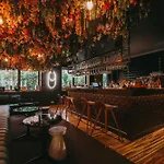 Torel Avantgarde Porto