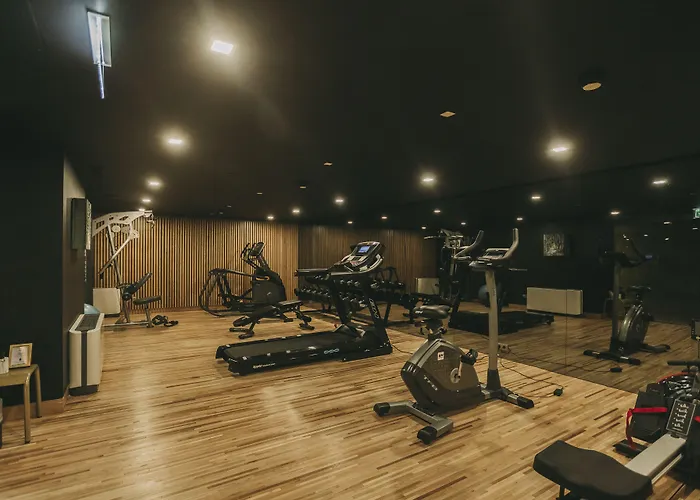 酒店 托雷尔前卫酒店 5*